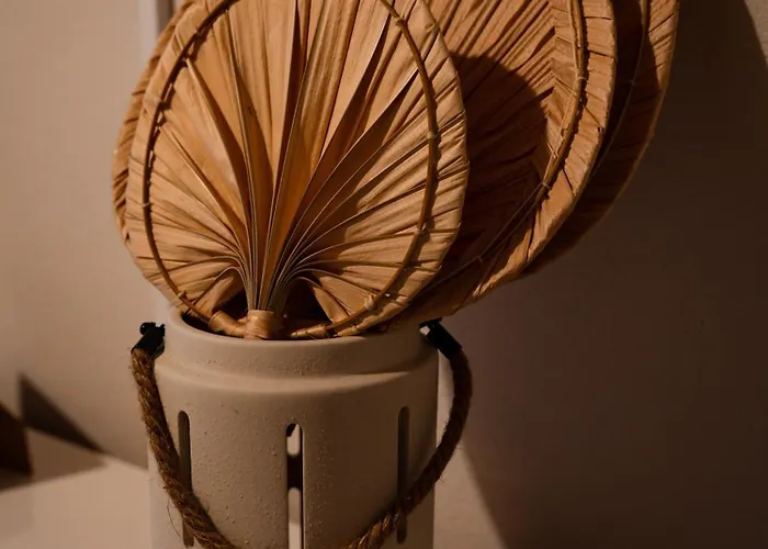 Brisa Do Nordeste Nordestinho