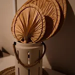 Brisa Do Nordeste Nordestinho