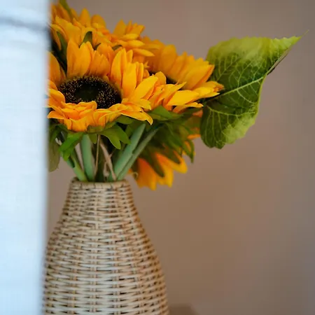 Nyaraló Brisa Do Nordeste