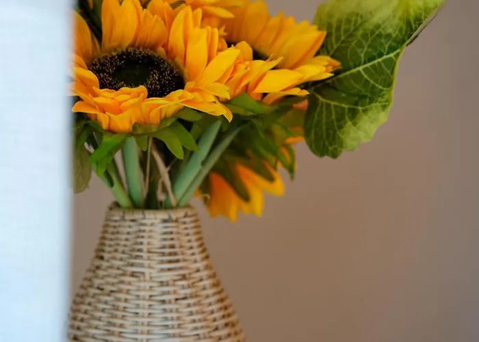 Dom wakacyjny Brisa Do Nordeste